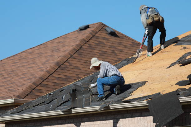Best Commercial Roofing Services  in Chinook, MT